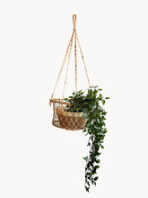 Load image into Gallery viewer, Jhuri Single Hanging Basket