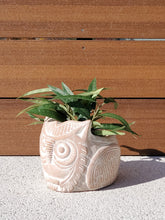 Load image into Gallery viewer, Terracotta Pot - Horned Owl