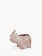 Load image into Gallery viewer, Terracotta Pot - Rhino
